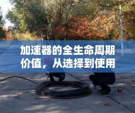 加速器的全生命周期价值,从选择到使用 加速器的全生命周期价值,从选择到使用