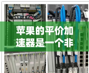 苹果的平价加速器是一个非常实用的工具，能够显著节省时间和金钱，特别是对于经常升级手机系统的人来说。以下是对其功能的详细介绍