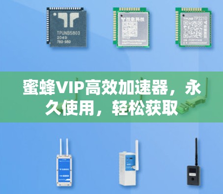 蜜蜂VIP高效加速器，永久使用，轻松获取