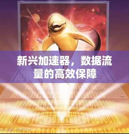 新兴加速器，数据流量的高效保障