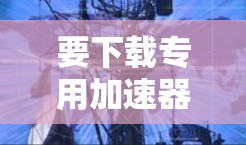 要下载专用加速器的免费版，您可以按照以下步骤进行