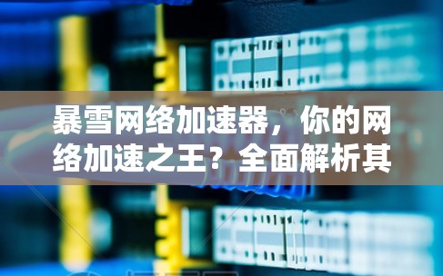 暴雪网络加速器，你的网络加速之王？全面解析其功能与优势