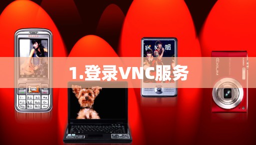 1.登录VNC服务