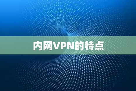 内网VPN的特点