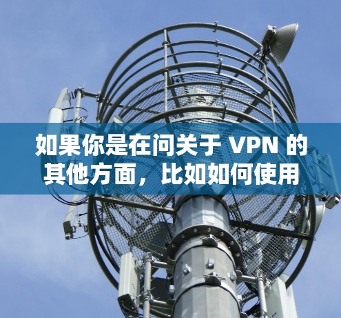如果你是在问关于 VPN 的其他方面，比如如何使用 VPN、VPN 的类型、如何选择好 VPN、VPN 的安全性和隐私保护等方面，我可以为你详细解答