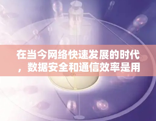 在当今网络快速发展的时代，数据安全和通信效率是用户关注的焦点。为了保障用户数据的安全传输和通信的高效性，选择可靠的VPN服务器服务成为用户的重要选择。以下是详细介绍VPN服务器服务商的介绍