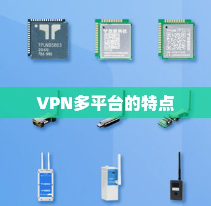 VPN多平台的特点
