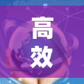 高效便捷的办公VPN工具