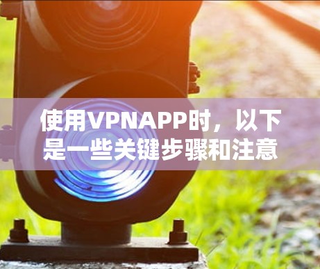 使用VPNAPP时，以下是一些关键步骤和注意事项