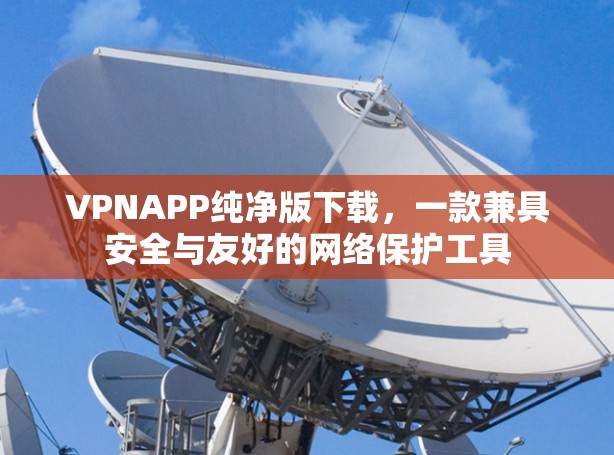 VPNAPP纯净版下载，一款兼具安全与友好的网络保护工具
