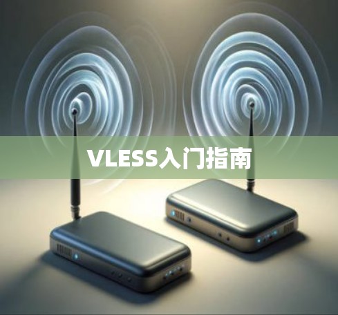 VLESS入门指南