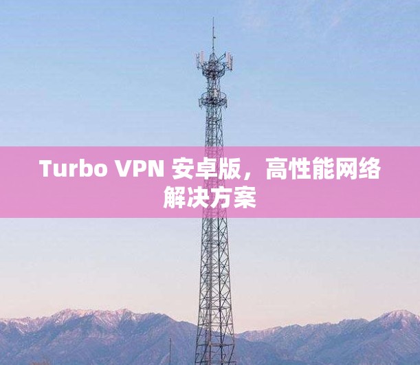 Turbo VPN 安卓版，高性能网络解决方案
