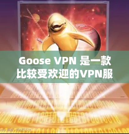 Goose VPN 是一款比较受欢迎的VPN服务，它支持多设备同时使用，提供了加密、防火墙、流量控制等多方面的功能。以下是Goose VPN的评价和体验分析