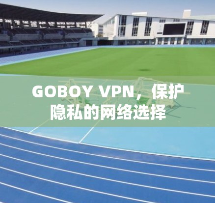 GOBOY VPN，保护隐私的网络选择