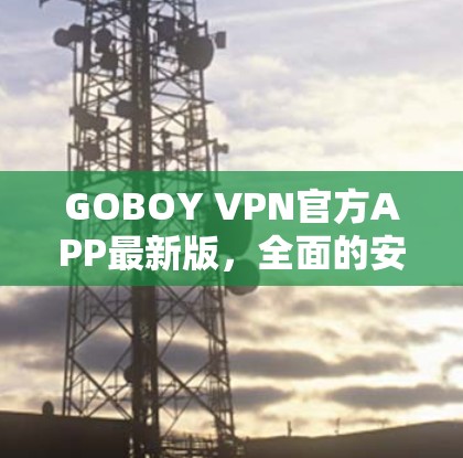 GOBOY VPN官方APP最新版，全面的安全防护与高效的数据传输