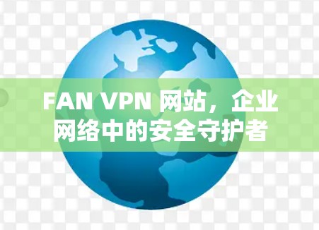 FAN VPN 网站,企业网络中的安全守护者 FAN VPN 网站,企业网络中的安全守护者