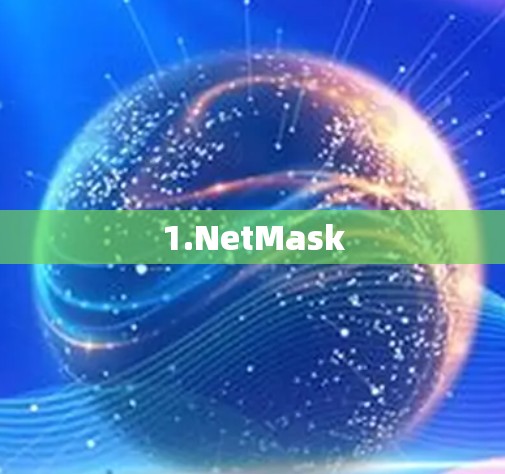 1.NetMask