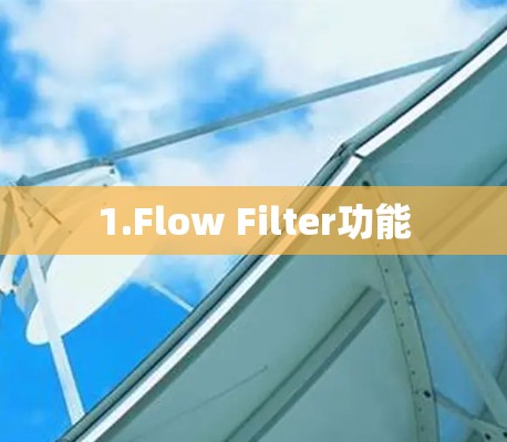 1.Flow Filter功能