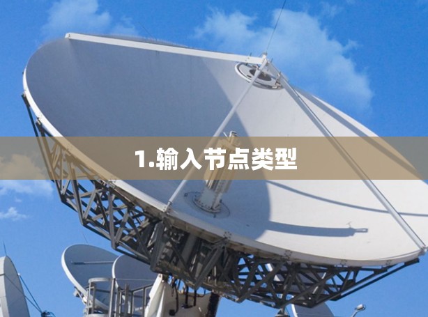 1.输入节点类型