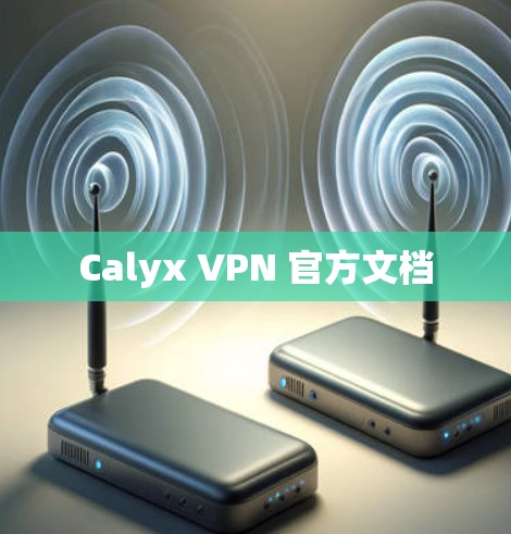 Calyx VPN 官方文档 Calyx VPN 官方文档