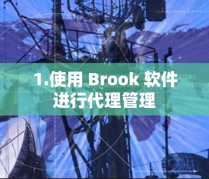 1.使用 Brook 软件进行代理管理 1.使用 Brook 软件进行代理管理