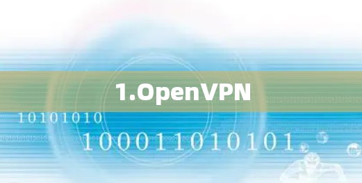 1.OpenVPN 1.OpenVPN