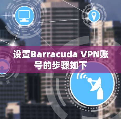 设置Barracuda VPN账号的步骤如下 设置Barracuda VPN账号的步骤如下