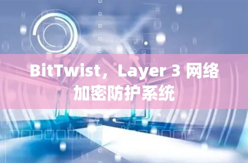 BitTwist，Layer 3 网络加密防护系统