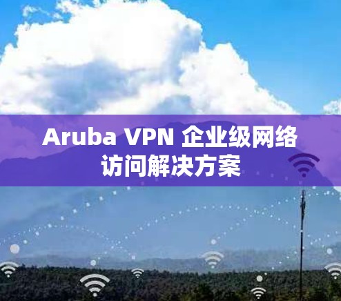 Aruba VPN 企业级网络访问解决方案